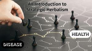 An Introduction to Strategic Herbalism