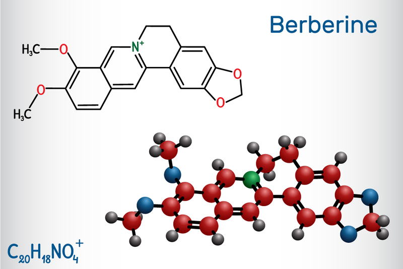 The Evidence for Berberine